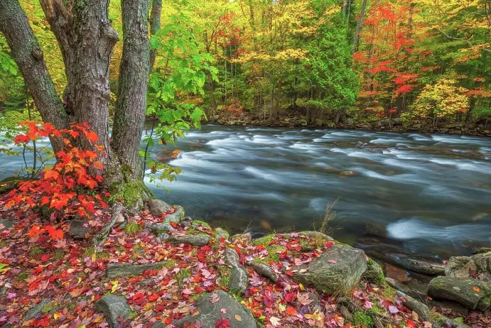 Framed Print : Autumn along the Kennisis River in the Haliburton Highlands, Ontario, Canada