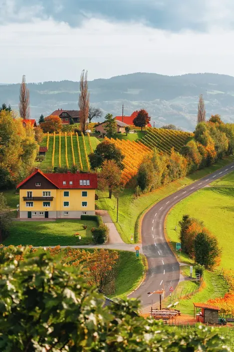 Framed Print : Autumn landscape and vineyards in Spicnik, Slovenia Framed Print : Autumn landscape and vineyards in Spicnik, Slovenia