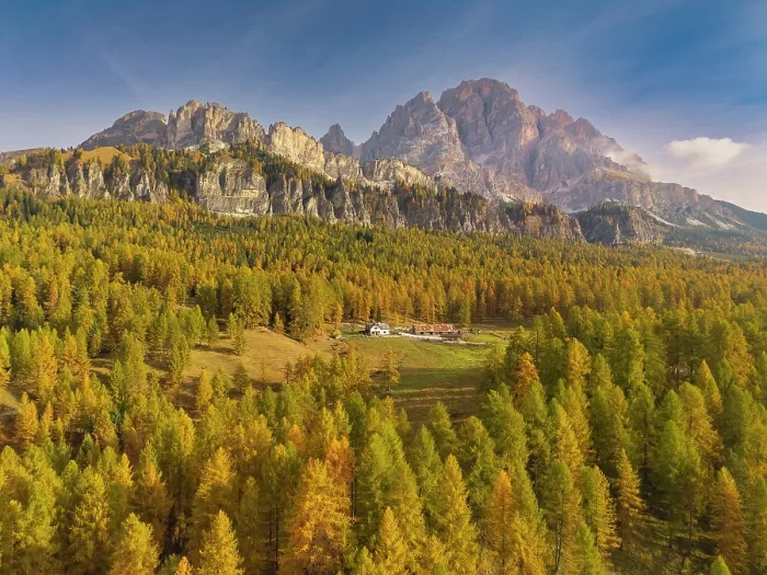 Framed Print : Autumn Larch Forest with Cristallo Mountains, Cortina d'Ampezzo, Belluno Province, Veneto, Italy Framed Print : Autumn Larch Forest with Cristallo Mountains, Cortina d'Ampezzo, Belluno Province, Veneto, Italy