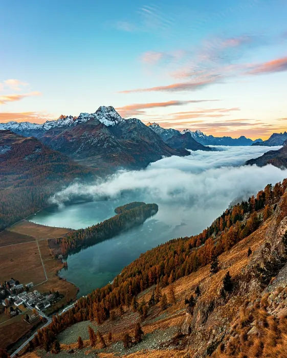 Framed Print : Autumn larch woods, Sils, Engadine, Maloja Region, Graubunden, Switzerland Framed Print : Autumn larch woods, Sils, Engadine, Maloja Region, Graubunden, Switzerland