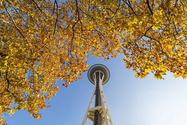 Autumn Leaves and Space needle, Seattle, Washington, USA