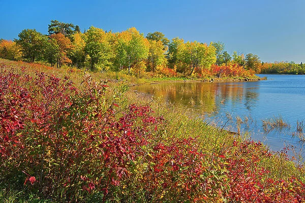 Autumn along the Manigotogan River Manigotogan Manitoba, Canada