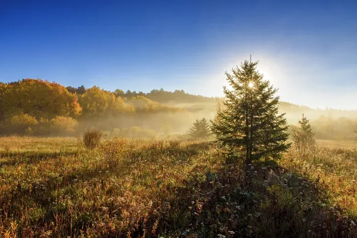 Framed Print : Autumn meadow with the rising sun casting shadows, Greater Sudbury, Ontario, Canada Framed Print : Autumn meadow with the rising sun casting shadows, Greater Sudbury, Ontario, Canada