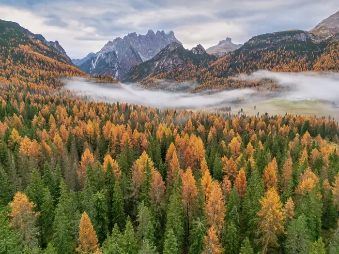Framed Print : Autumn Mist below Mt. Cristallo, Dolomites, South Tyrol, Bolzano, Italy