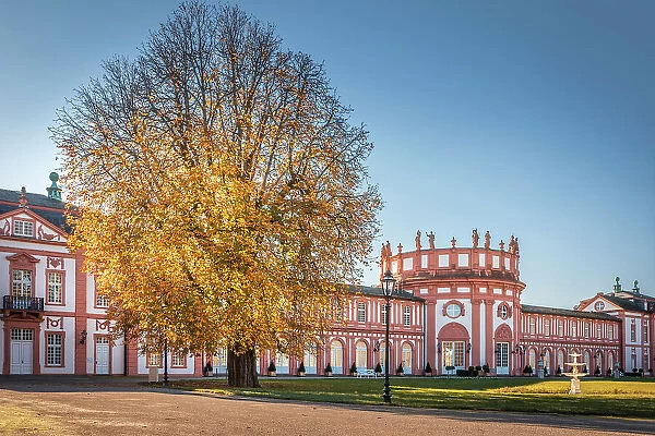 Autumn mood in the palace gardens of Schloss Biebrich, Wiesbaden, Hesse, Germany