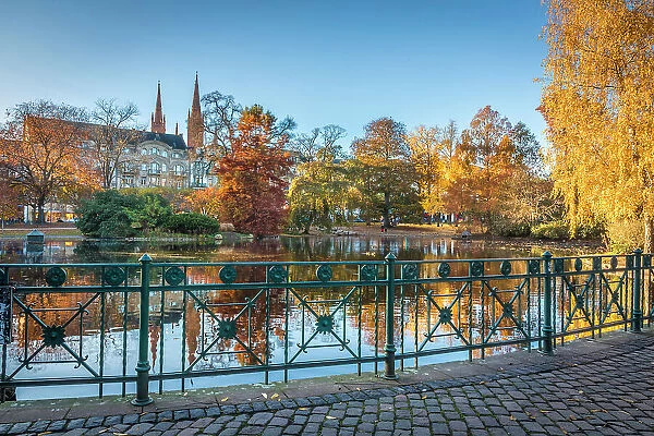 Autumn mood at the pond on Warmen Damm, Wiesbaden, Hesse, Germany
