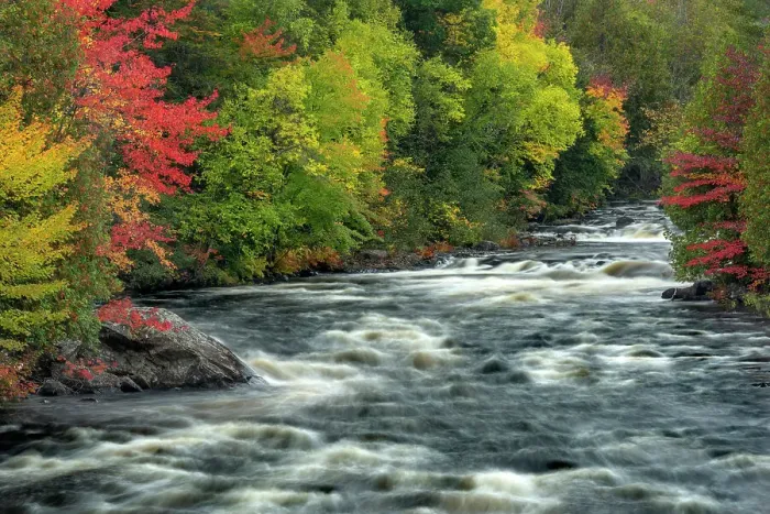 Framed Print : Autumn on the Petawawa River in Algonquin Provincial Park, Ontario, Canada Framed Print : Autumn on the Petawawa River in Algonquin Provincial Park, Ontario, Canada