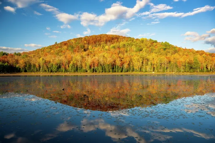 Framed Print : Autumn reflection on Bailey Pond, Green Mountains, Marshfield, Vermont, USA Framed Print : Autumn reflection on Bailey Pond, Green Mountains, Marshfield, Vermont, USA