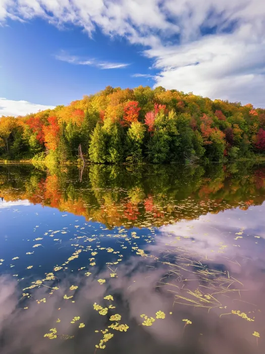 Framed Print : Autumn reflection at Belvedere Pond, Northeast Kingdom, Belvedere, Vermont, USA Framed Print : Autumn reflection at Belvedere Pond, Northeast Kingdom, Belvedere, Vermont, USA