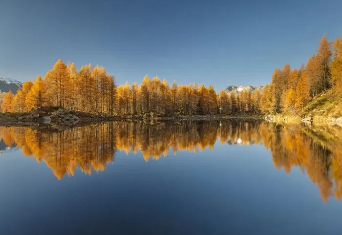 Framed Print : Autumn reflections on Azzurro lake, Motta, Campodolcino, Sondrio province, Lombardy Framed Print : Autumn reflections on Azzurro lake, Motta, Campodolcino, Sondrio province, Lombardy