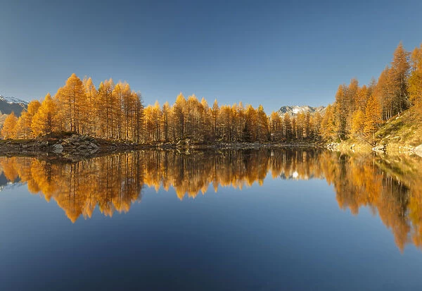 Autumn reflections on Azzurro lake, Motta, Campodolcino, Sondrio province, Lombardy