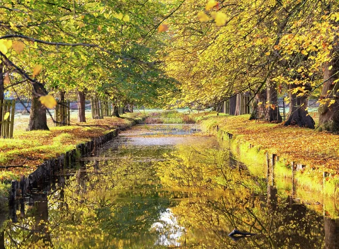 Framed Print : Autumn reflections in Bushy Park, London, England Framed Print : Autumn reflections in Bushy Park, London, England
