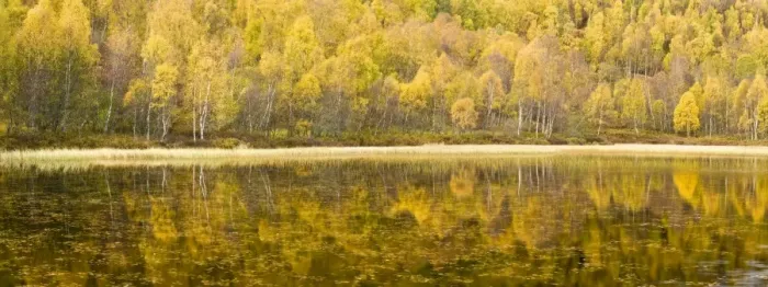 Framed Print : Autumn reflections, Cairngorms National Park, Highlands, Scotland, UK