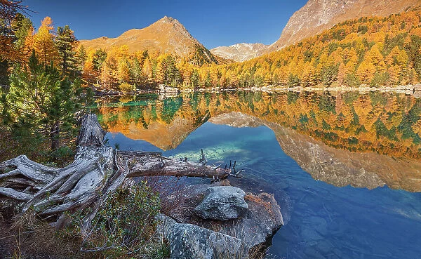 Autumn reflections on lake Saoseo, Poschiavo, Campo valley, Canton of Graubunden, Switzerland