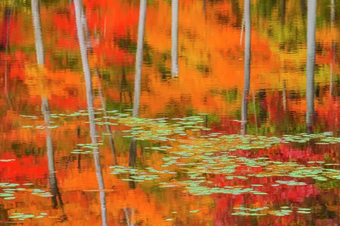 Framed Print : Autumn Reflections, Muskoka, Ontario, Canada Framed Print : Autumn Reflections, Muskoka, Ontario, Canada