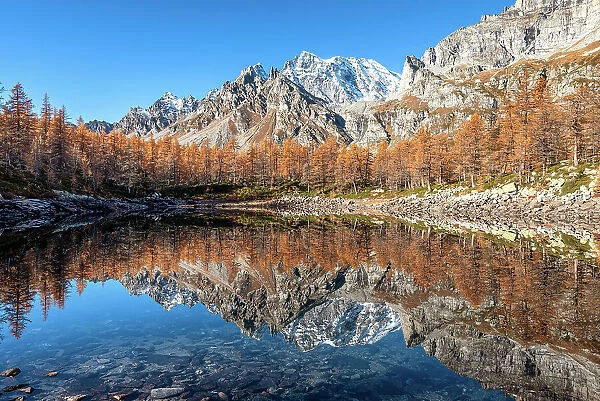Autumn reflections on the Nero lake, Alpe Devero, Baceno, Alpe Veglia and Alpe Devero natural park, province of Verbano-Cusio-Ossola, Piedmont, italy, Europe