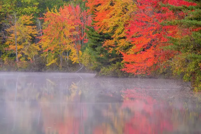 Framed Print : Autumn reflections in Pequawket Pond, Conway, New Hampshire, USA Framed Print : Autumn reflections in Pequawket Pond, Conway, New Hampshire, USA