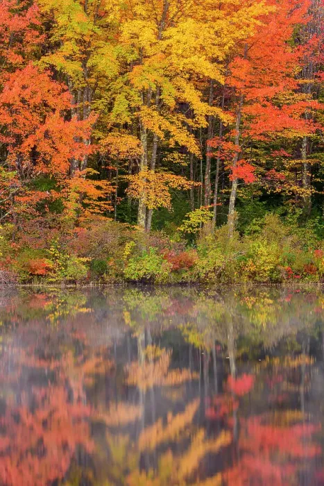 Framed Print : Autumn reflections in Pequawket Pond, Conway, New Hampshire, USA Framed Print : Autumn reflections in Pequawket Pond, Conway, New Hampshire, USA