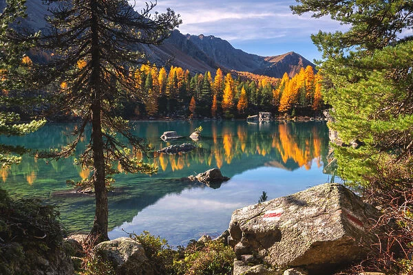 Autumn reflections at Saoseo Lake, Poschiavo Valley, Canton of Graubuenden Switzerland