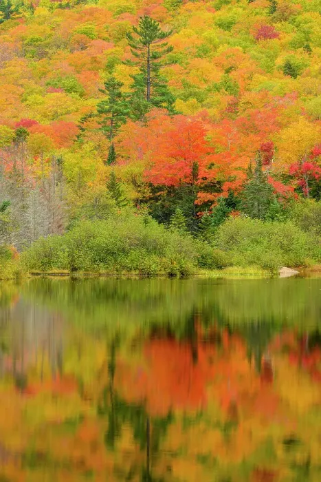 Framed Print : Autumn reflections in Willey Pond, Crawford Notch State Park, New Hampshire, USA Framed Print : Autumn reflections in Willey Pond, Crawford Notch State Park, New Hampshire, USA