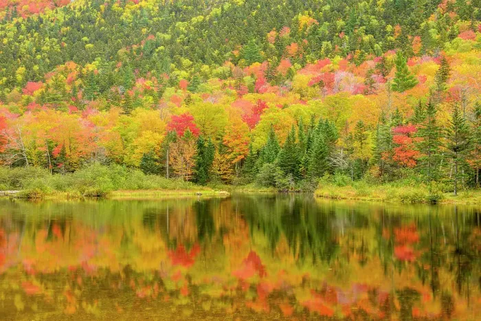 Framed Print : Autumn reflections in Willey Pond, Crawford Notch State Park, New Hampshire, USA Framed Print : Autumn reflections in Willey Pond, Crawford Notch State Park, New Hampshire, USA