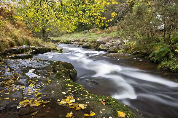 Autumn river scene on the River Caerfanell at Blaen-y-glyn, Brecon Beacons National Park, Powys, Wales, UK. Autumn (October) 2009