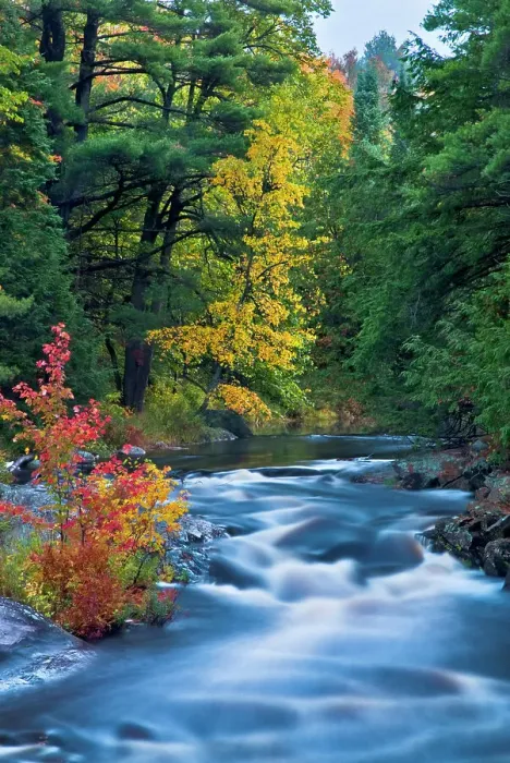 Framed Print : Autumn on the Rosseau River, Muskoka, Ontario, Canada Framed Print : Autumn on the Rosseau River, Muskoka, Ontario, Canada