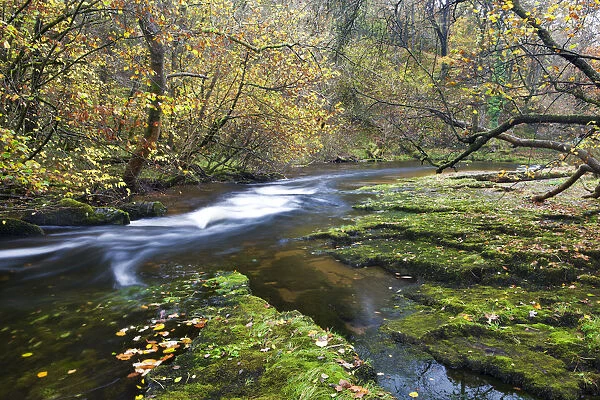 Autumn scenery by the Nedd Fechan River near Ystradfellte, Brecon Beacons National Park
