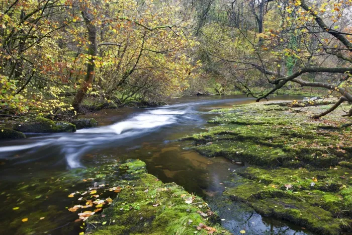 Framed Print : Autumn scenery by the Nedd Fechan River near Ystradfellte, Brecon Beacons National Park Framed Print : Autumn scenery by the Nedd Fechan River near Ystradfellte, Brecon Beacons National Park