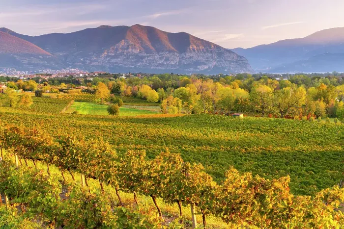 Framed Print : Autumn season in Franciacorta, Brescia province in Lombardy district, Italy Framed Print : Autumn season in Franciacorta, Brescia province in Lombardy district, Italy