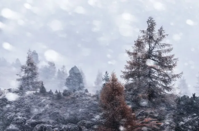 Framed Print : Autumn snowstorm near the Falzarego Pass in the Dolomites, Italy Framed Print : Autumn snowstorm near the Falzarego Pass in the Dolomites, Italy