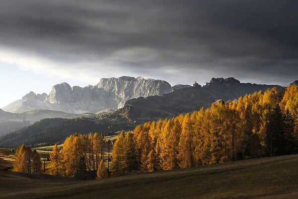 Autumn sunrise at the Alpe di Siusi (Seiser Alm) in the Dolomites, Italy