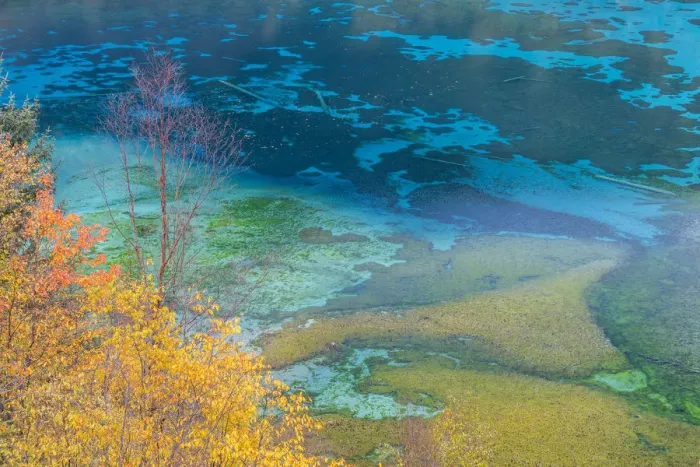 Framed Print : Autumn trees and lake, Jiuzhaigou National Park, Sichuan, China Framed Print : Autumn trees and lake, Jiuzhaigou National Park, Sichuan, China