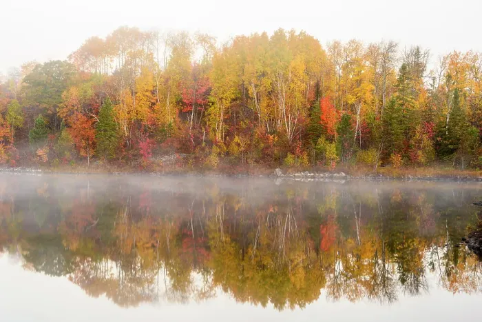 Framed Print : Autumn trees on the shore of St. Pothier Lake in fog, Greater Sudbury, Ontario, Canada Framed Print : Autumn trees on the shore of St. Pothier Lake in fog, Greater Sudbury, Ontario, Canada