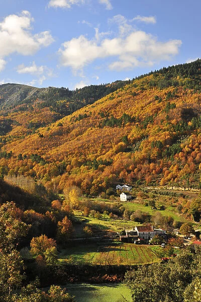 Autumn in the valley of Zezere river. Serra da Estrela Nature Park, Portugal
