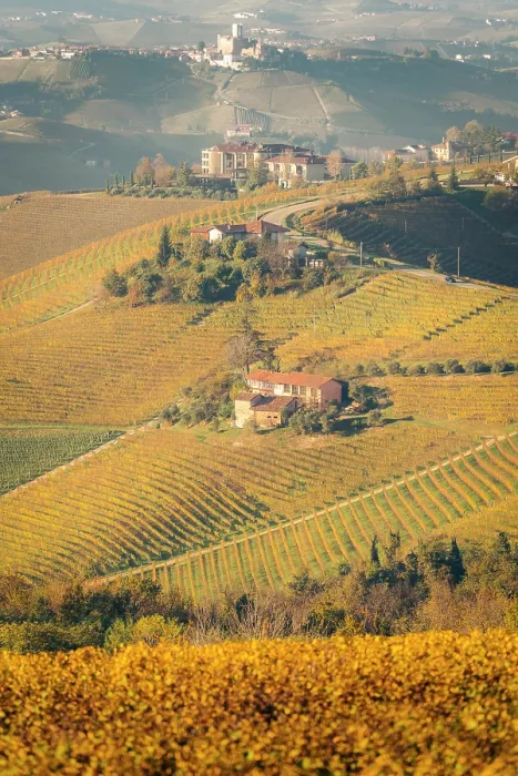 Framed Print : Autumn vineyard landscape Serralunga d'Alba Piedmont, Italy Framed Print : Autumn vineyard landscape Serralunga d'Alba Piedmont, Italy