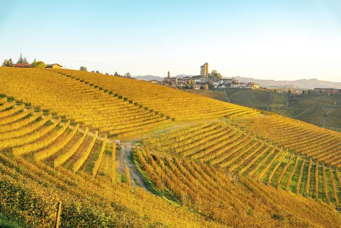 Framed Print : Autumn vineyards in Langhe, Piedmont, Italy Framed Print : Autumn vineyards in Langhe, Piedmont, Italy