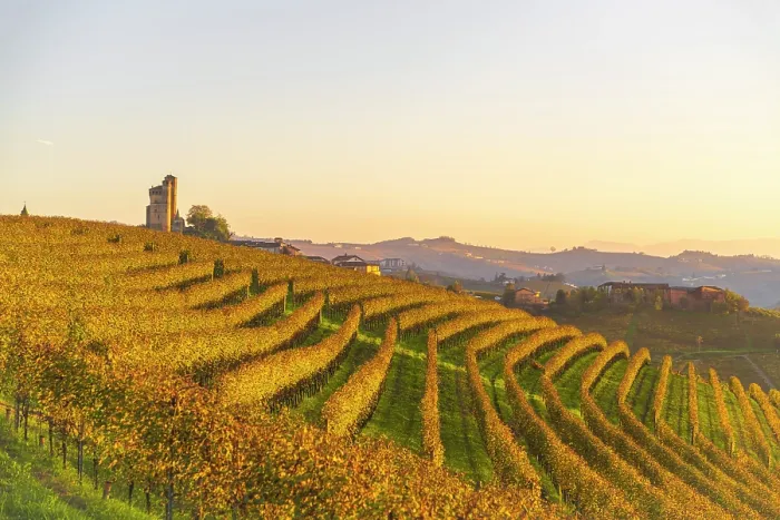 Framed Print : Autumn vineyards near Grinzane Cavour castle, Langhe, Piedmont. italy Framed Print : Autumn vineyards near Grinzane Cavour castle, Langhe, Piedmont. italy