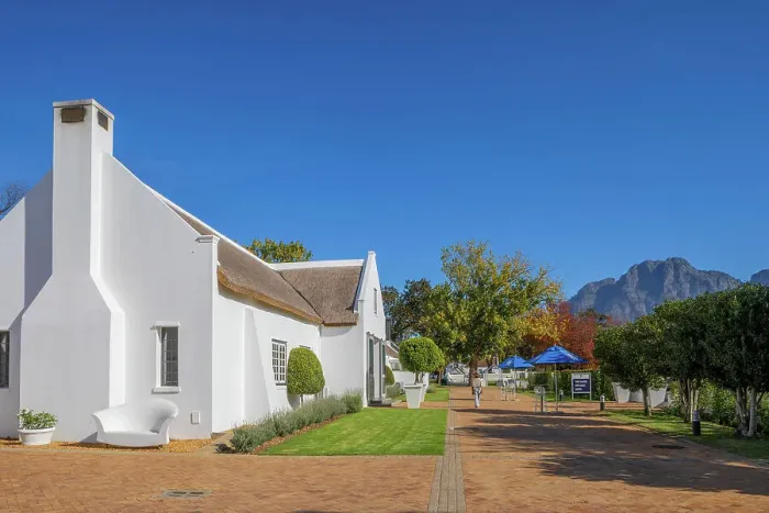 Framed Print : Autumnal Colours at Allee Bleue Vineyard, Franschhoek, Western Cape Province, South Africa