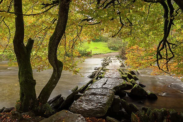 Autumnal foliage above Tarr Steps clapper bridge over the River Barle in Exmoor National Park, Somerset, England. Autumn (October) 2023