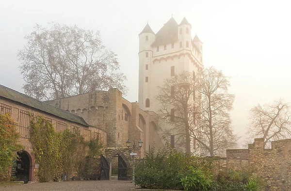 Autumnal morning fog at Eltville Electoral Castle, Rheingau, Hesse, Germany