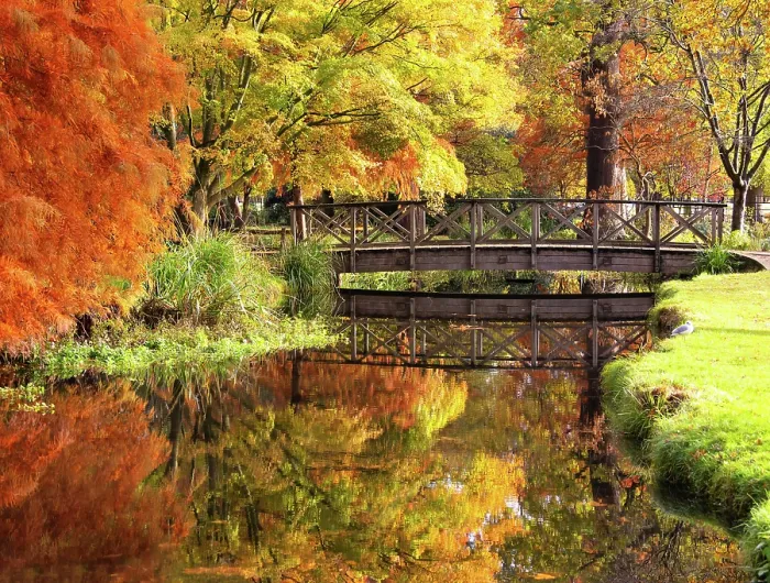 Framed Print : Autumnal reflections in Woodland Gardens of Bushy Park, London, England Framed Print : Autumnal reflections in Woodland Gardens of Bushy Park, London, England
