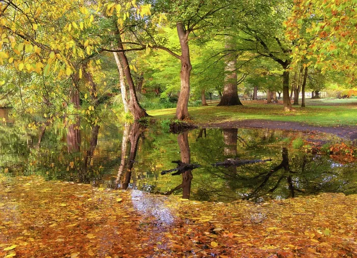 Framed Print : Autumnal reflections in Woodland Gardens of Bushy Park, London, England Framed Print : Autumnal reflections in Woodland Gardens of Bushy Park, London, England