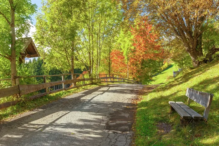 Framed Print : Autumnal road that lead to the St. Giacomo village (San Giacomo), Funes valley, South Tyrol, Trentino Alto Adige, Bolzano province, Italy Framed Print : Autumnal road that lead to the St. Giacomo village (San Giacomo), Funes valley, South Tyrol, Trentino Alto Adige, Bolzano province, Italy