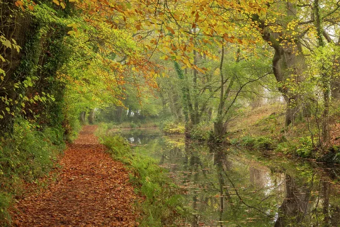 Framed Print : Autumnal scenery on the Monmouthshire & Brecon Canal, Brecon Beacons (Bannau Brycheiniog) National Park, Powys, Wales, UK. Autumn (November) 2024 Framed Print : Autumnal scenery on the Monmouthshire & Brecon Canal, Brecon Beacons (Bannau Brycheiniog) National Park, Powys, Wales, UK. Autumn (November) 2024
