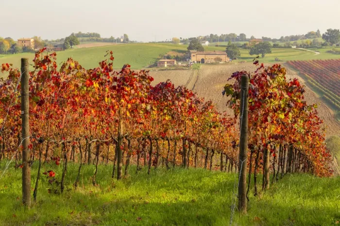 Framed Print : Autumnal view of the countryside and vineyards near Levizzano Rangone Framed Print : Autumnal view of the countryside and vineyards near Levizzano Rangone
