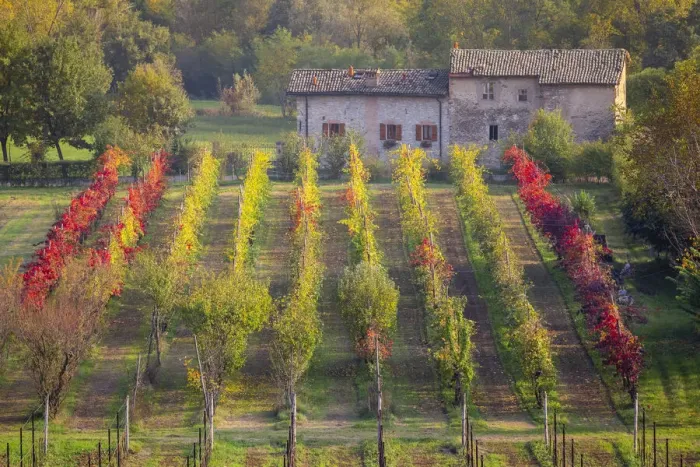 Framed Print : Autumnal view of the countryside and vineyards near Levizzano Rangone Framed Print : Autumnal view of the countryside and vineyards near Levizzano Rangone