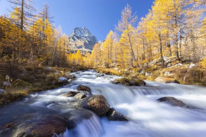 Framed Print : Autumnal view of the foliage and colours around the river Cairasca with the Monte Leone Framed Print : Autumnal view of the foliage and colours around the river Cairasca with the Monte Leone