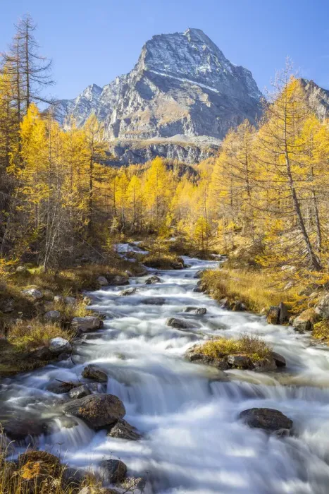 Framed Print : Autumnal view of the foliage and colours around the river Cairasca with the Monte Leone Framed Print : Autumnal view of the foliage and colours around the river Cairasca with the Monte Leone