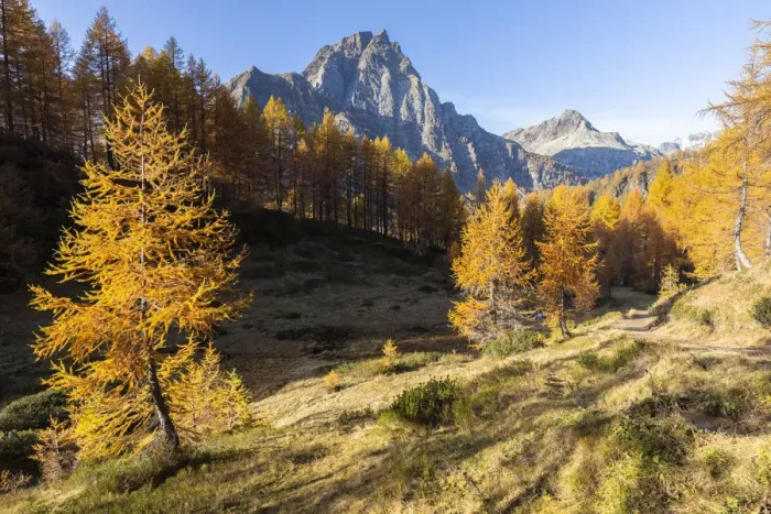 Framed Print : Autumnal view towards the Pizzo Crampiolo near the Laghi del Sangiatto Framed Print : Autumnal view towards the Pizzo Crampiolo near the Laghi del Sangiatto